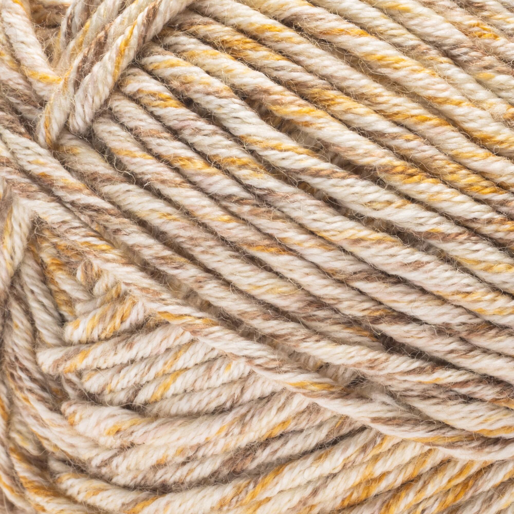 2 Pack Caron® Simply Me Mosaic™ Yarn